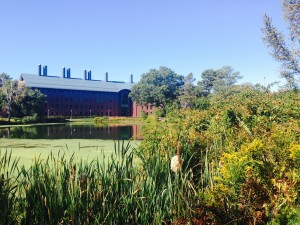 A long view of the Chemistry Building exposes Swan Lake
