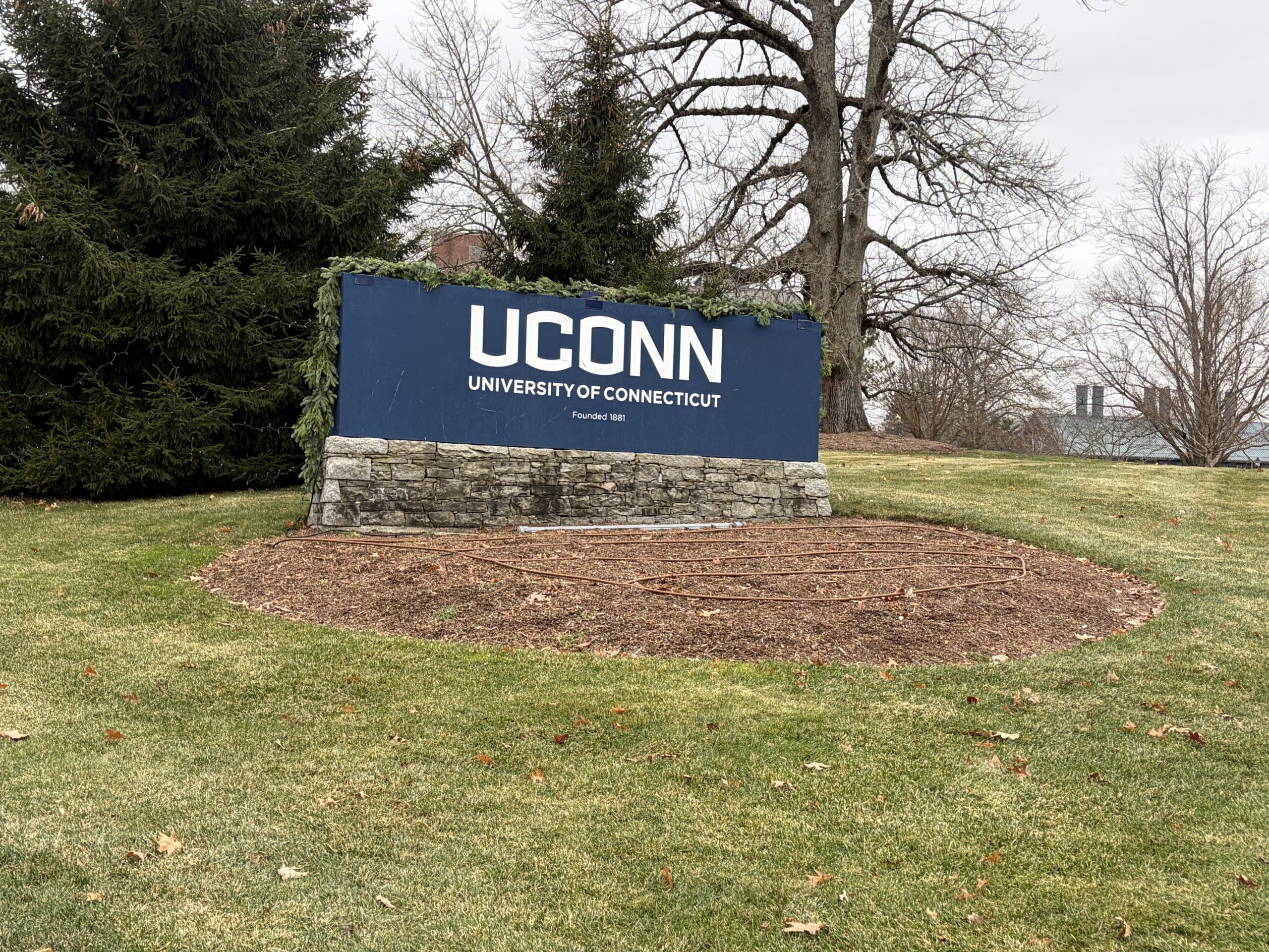 Federal research cuts hit UConn&nbsp;