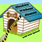 Huskies Without Homes