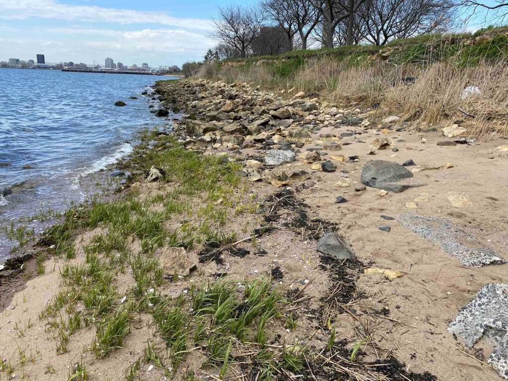 East Shore Park