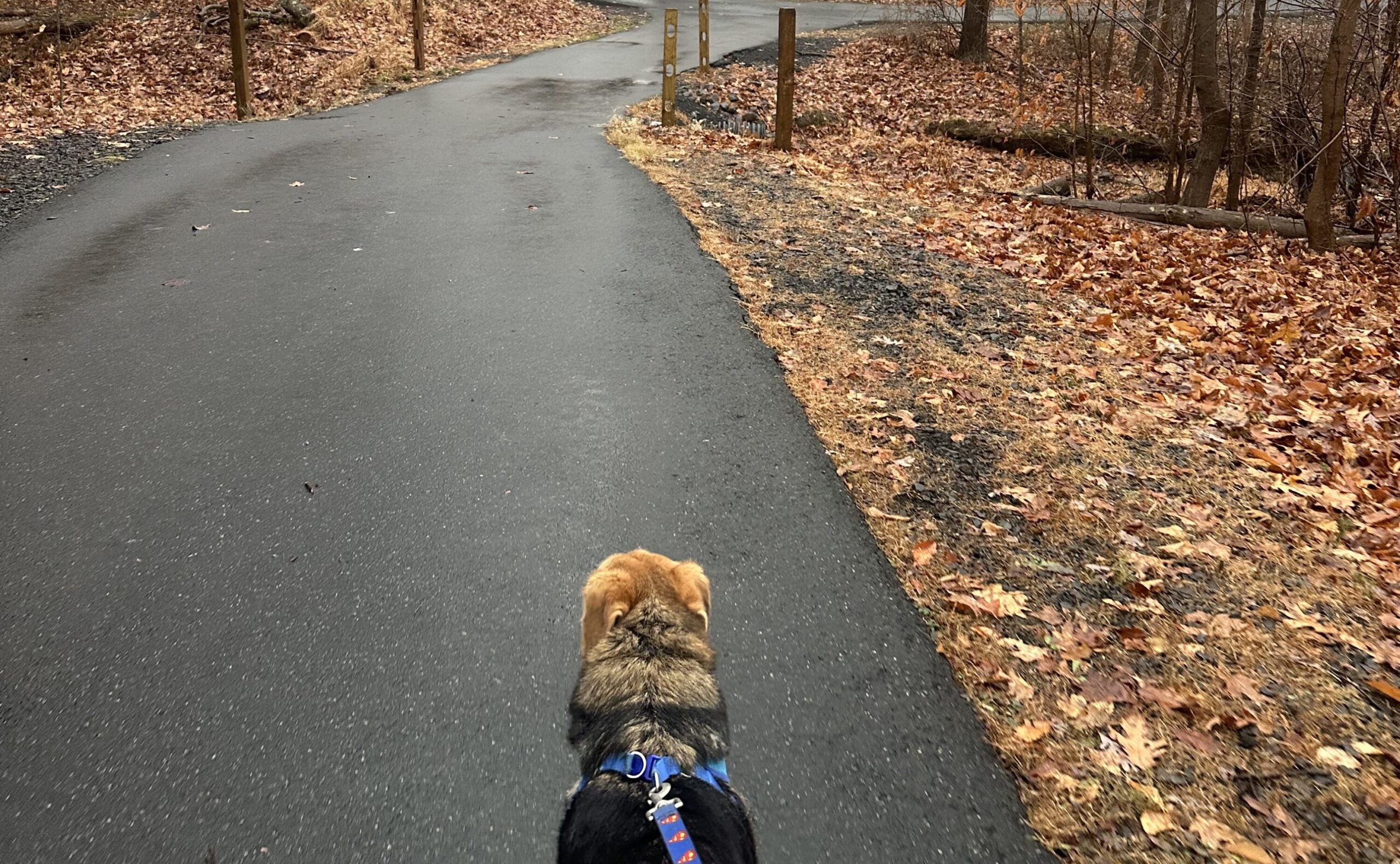 Opinion: Federal cuts could snip away your local park