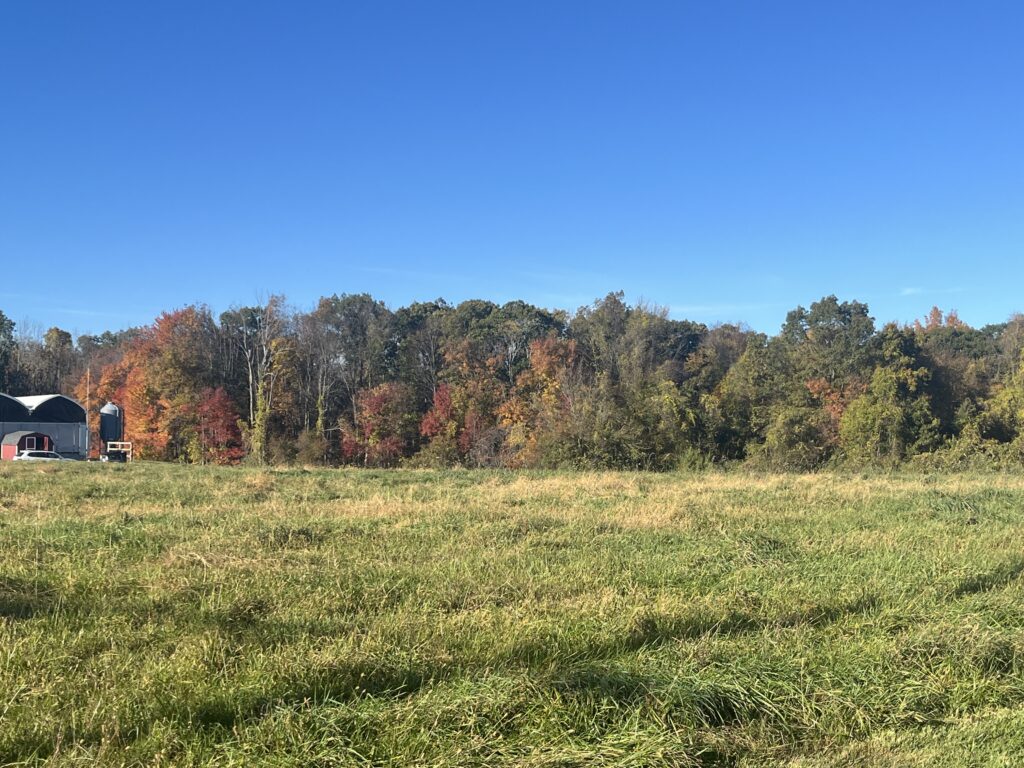 Decoding the Data with Thomas Worthley