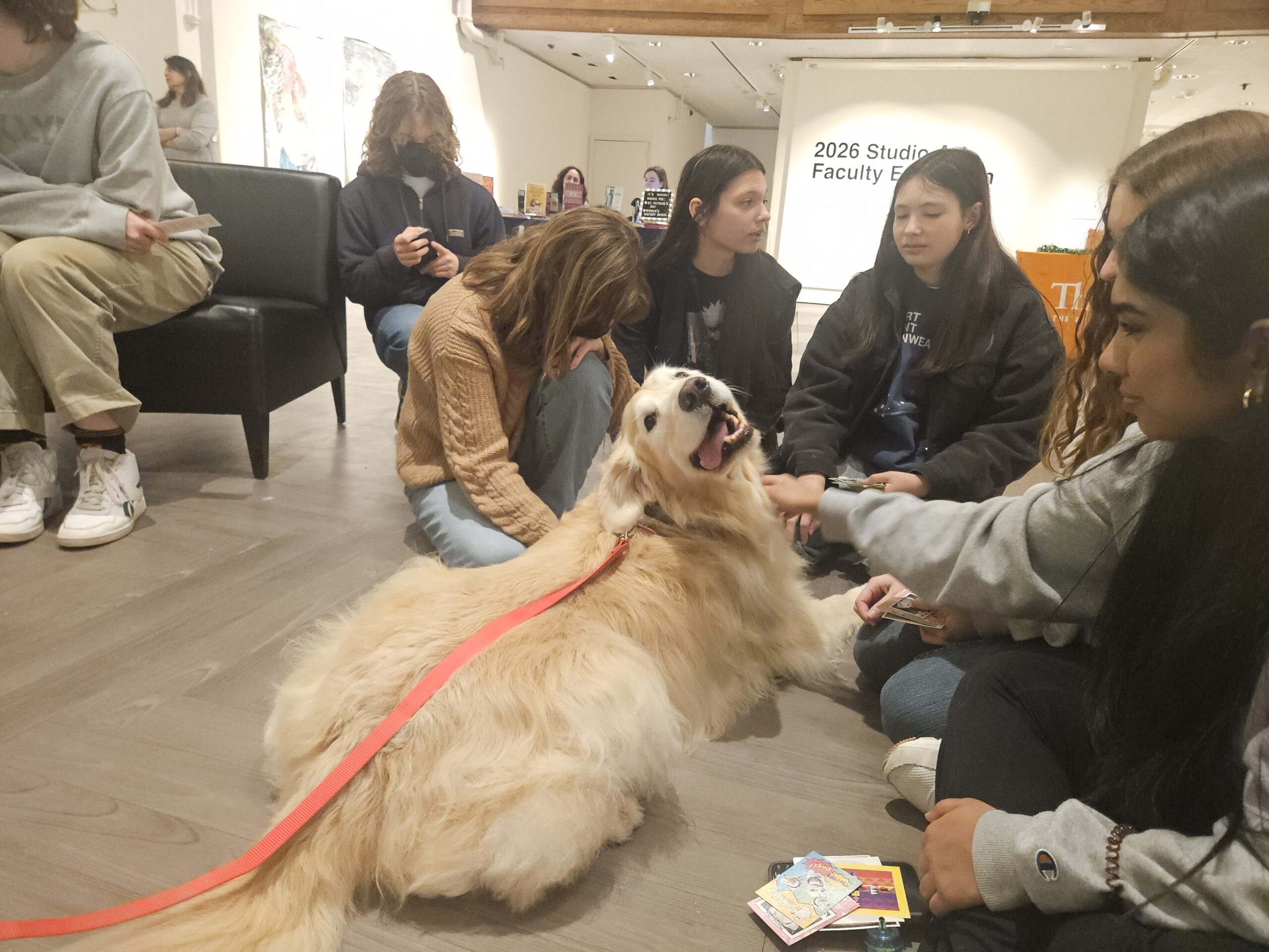 Dog therapy catches on at UConn, other colleges across U.S.